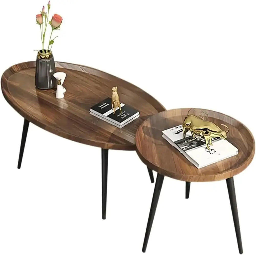 Modern Coffee Table & Side Table Set