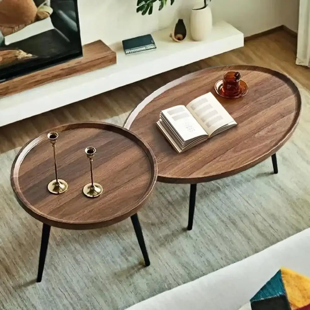 Modern Coffee Table & Side Table Set