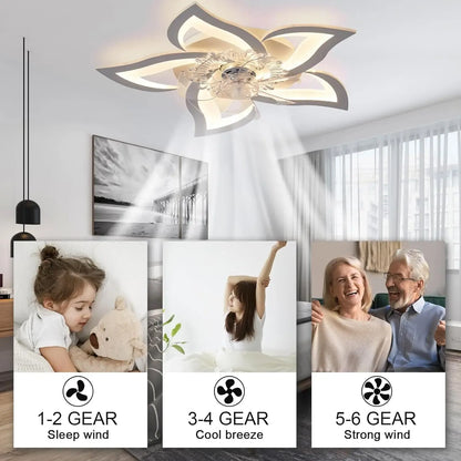 AP03 27-Inch Ceiling Light Fan