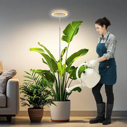 Woman watering a potted plant in a living room with a modern light fixture.