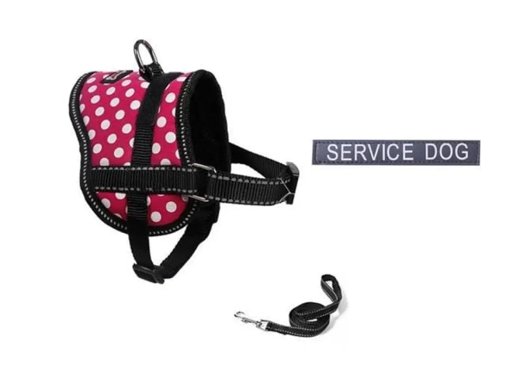 Ninja Reflective puppy harness