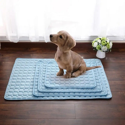 Pet Mat