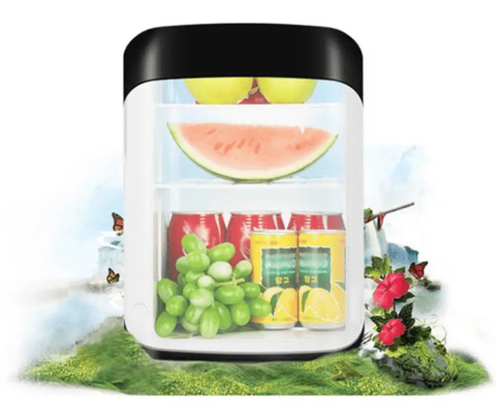 Small Compact Refrigerator 10L