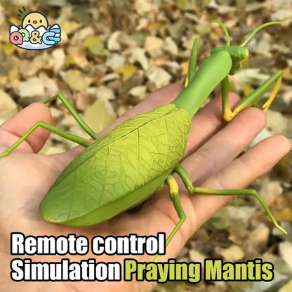 RC Animal Robot Insect Toy Infrared Simulation Slithering Action Flash Light