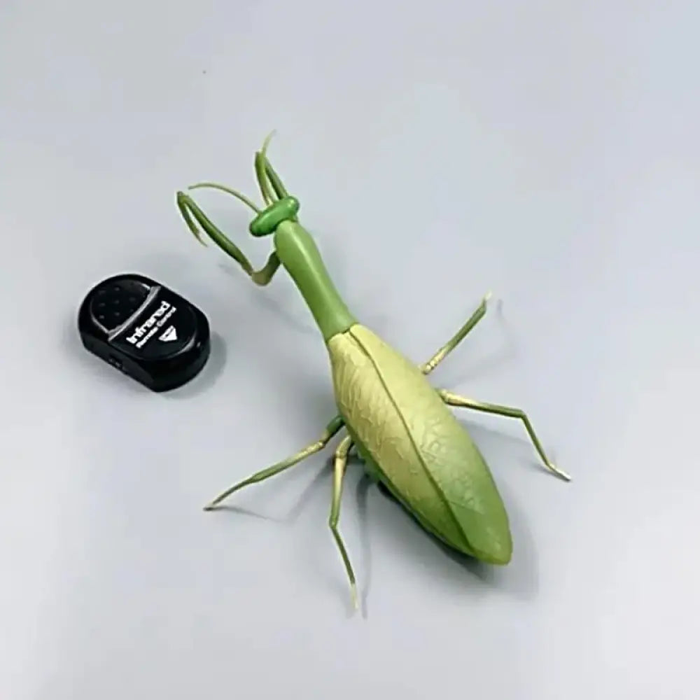 RC Antistress Animal Robot Insect Toy Infrared Simulation with Slithering Action & Flash Light