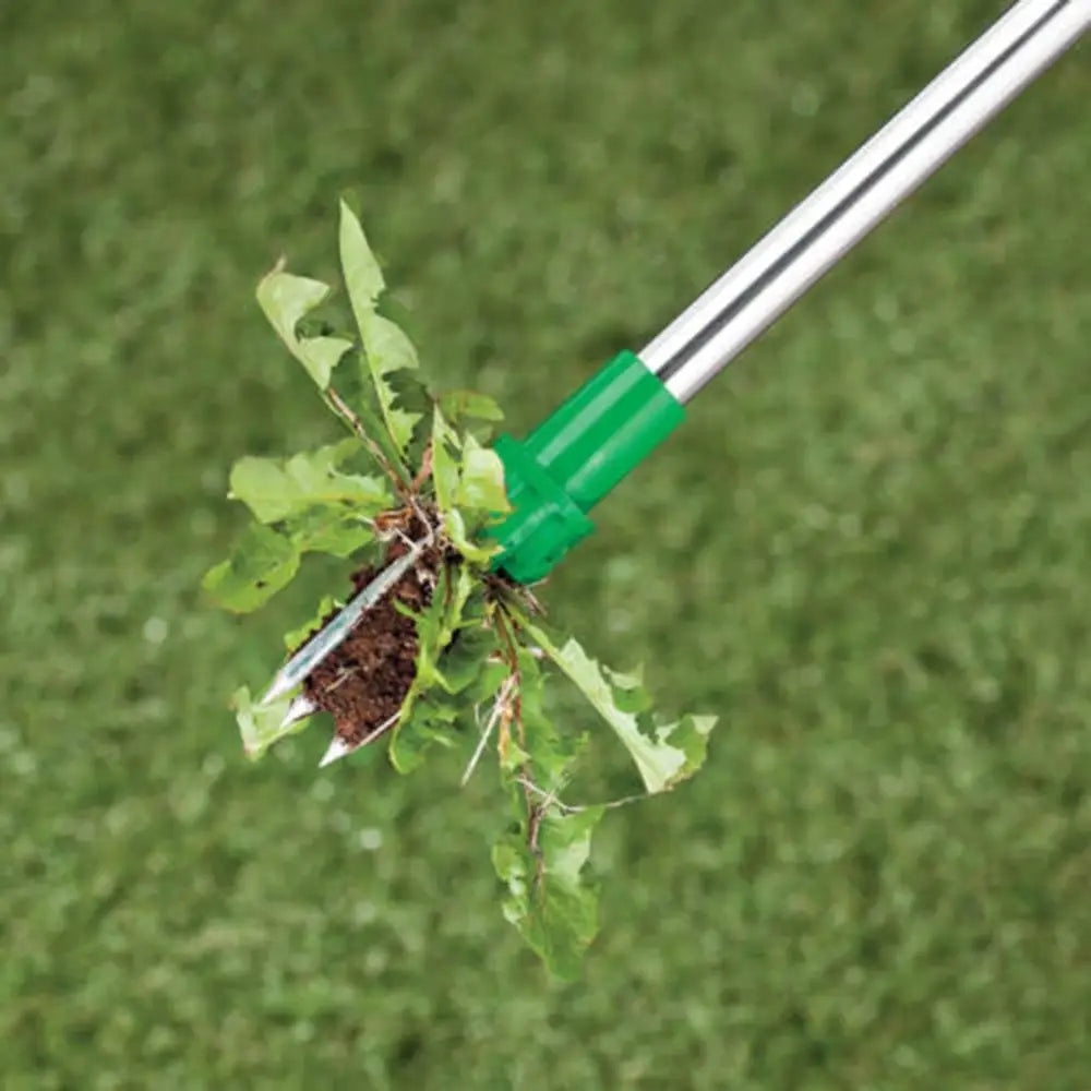 Standing Plant Root Remover