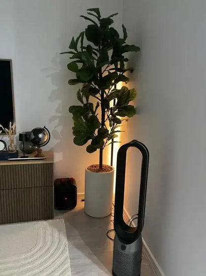 Room interior with a plant, TV stand, and Dyson air purifier.