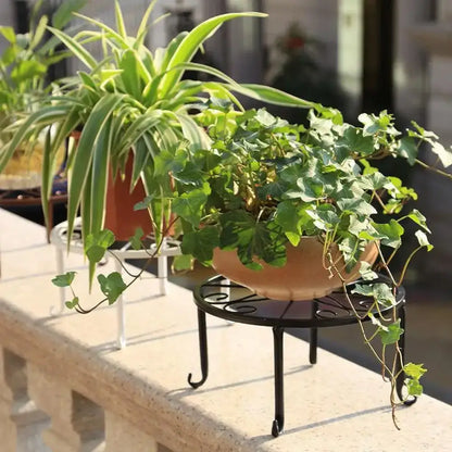 Potted plant  on a decorative metal stand in front of stone steps.