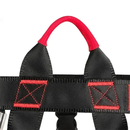 The Best Climbing Harness