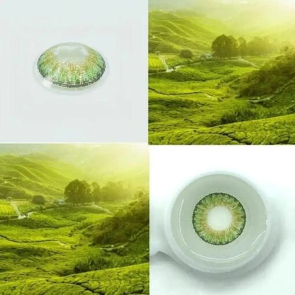 Tone Series Colored Contact Lenses