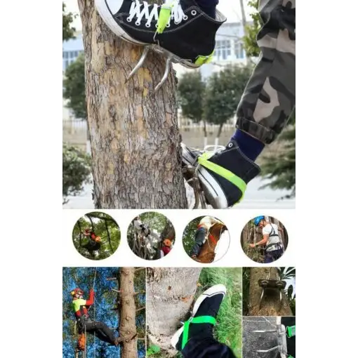 Tree Climbing Spikes Stainless Steel Safe Tree Climbing Gear