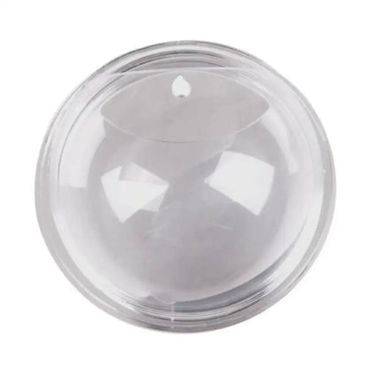 Wall-Mounted Acrylic Fish Bowl – Sphere Aquarium & Plant Pod