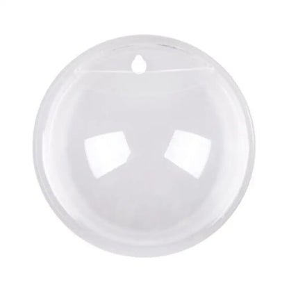 Wall-Mounted Acrylic Fish Bowl – Sphere Aquarium & Plant Pod