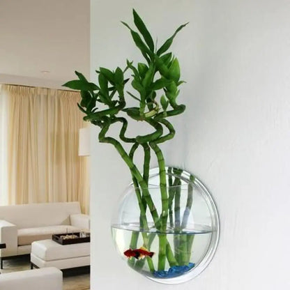 Wall-Mounted Acrylic Fish Bowl – Sphere Aquarium & Plant Pod