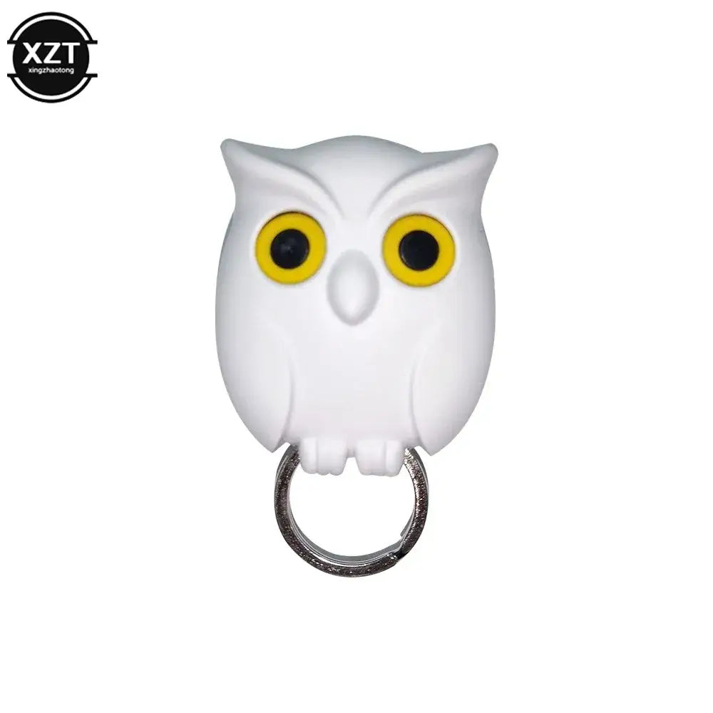 Whimsical Owl Wall Organizer