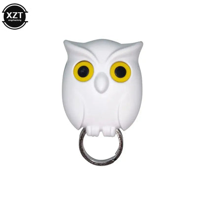 Whimsical Owl Wall Organizer