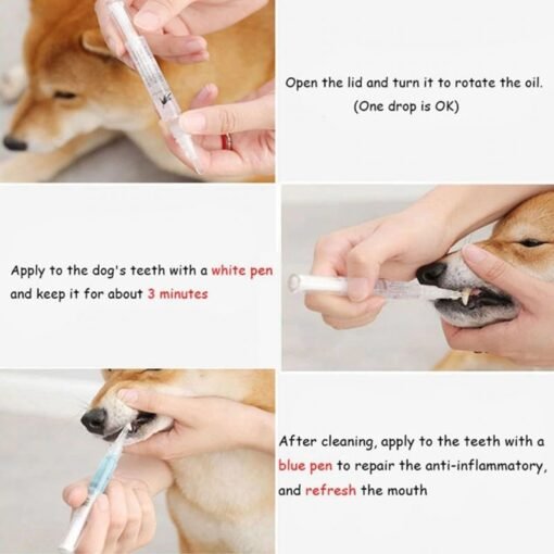 How to use dog teeth cleaning gel kit