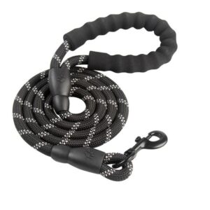 Reflective rope dog leash