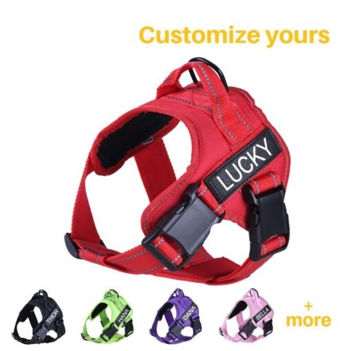 Ninja personalized Custom dog harness