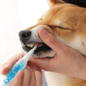 Petstory™ Dog Teeth Cleaning Tartar Removal Oral Care Gel Kit