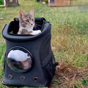 Large-Capacity Pet Capsule PU Backpack for Cats and Dogs