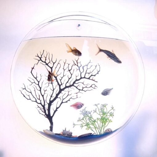 Wall Mounted Acrylic Fish Bowl - Image 2