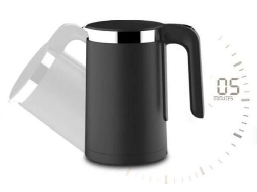 electric kettle with temperature control