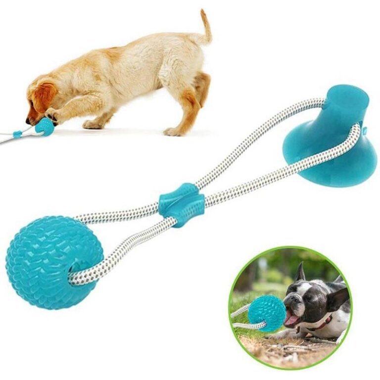 Suction Cup Dog Tug Toy