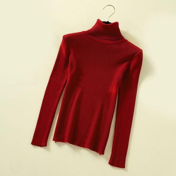 Ultra-Soft Thermal Turtle Neck Jumper - Image 15