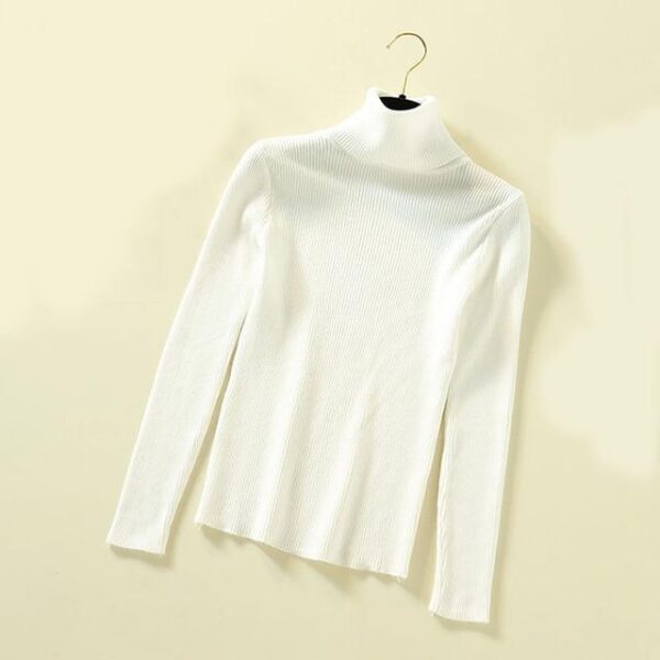 Ultra-Soft Thermal Turtle Neck Jumper - Image 16