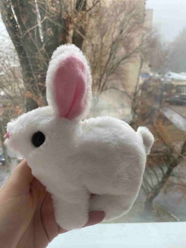 My Realistic Bunny Toy Rabbit Lifelike with Sounds and Movements photo review