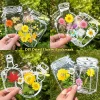 Transparent Dried Flower Bookmarks